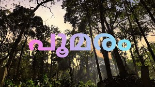 പൂമരം | Short film | പ്രകൃതി സംരക്ഷണം