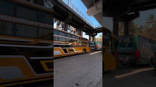 Choudhary \u0026 Mewada Travels 🔥🤯 #shorts #bus #shortvideo #youtubeshorts #viralvideo