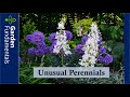 Unusual Perennials You Should Grow ⛔️🚧🛑 Stop Growing The Same Old Stuff and WOW Your Friends.