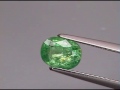 1.07ct top apple green tsavorite garnet wta6550