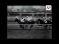 the grand national 1949