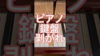 鍵盤が剥がれたピアノ調律と修理