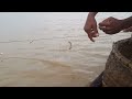 মখাঁ মাছের ফাঁস জালে মাছে ধলা village fishing video amazing fishing video মাছের ভিডিও