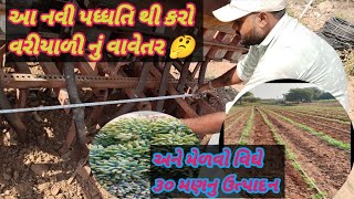 વિઘે ૩૦ મણ ઉત્પાદન લેવા માટે વરીયાળી નું આ નવી પધ્ધતિ થી કરો વાવેતર 😳 Variyali nu vavetar