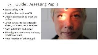 Assessing Pupils