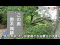 野木城から小山市立博物館