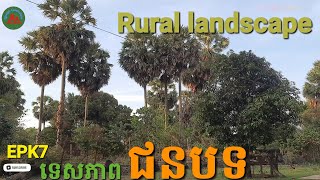 [EpK7] Rural landscape during the rice harvest season| ទេសភាពជនបទនារដូវច្រូតកាត់ស្រូវរួច