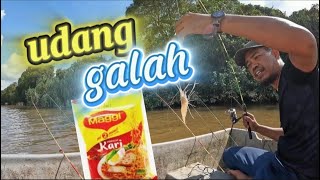 [4k]Mancing udang galah sg Mawai (penutup 2024)