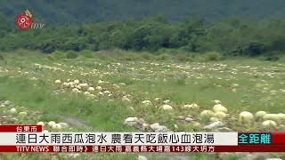 台東高麗菜受災裂開 西瓜泡水損失慘 2020-05-25 IPCF-TITV 原文會 原視新聞