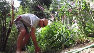 Watering in Extremely Dry Weather