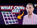 Uncover what Deep CNNs are doing with Python and Tensorflow