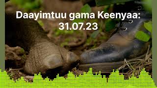 Daayimtuu gama Keenyaa: 31.07.23