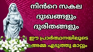 നിൻറെ സകല ദുഃഖങ്ങളും ദുരിതങ്ങളും അമ്മ എടുത്തു മാറ്റും l miraculous prayer l powerful marian prayer