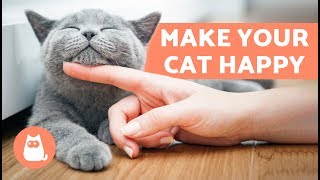 How to Make Your Cat Happy – 10 Tips for a Content Cat