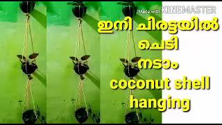 Plant in Hanging cocunut shell | ചിരട്ടയിൽ ചെടി നടാം No music vocal only