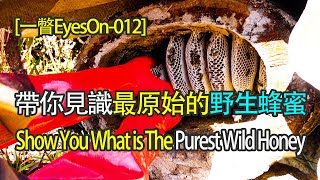 [一瞥EyesOn-012] 帶你見識最原始的野生蜂蜜/ Show You What is The Purest Wild Honey#withme#stayhome