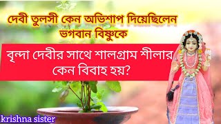 ভগবান বিষ্ণুকে দেবী তুলসী কেন অভিশাপ দিয়েছিলে/বৃন্দা দেবীর সাথে শালগ্রাম শীলার কেন বিবাহ হয়