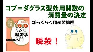 ミクロ経済学「攻略」　ちょっと7回目 コブ＝ダグラス型効用関数