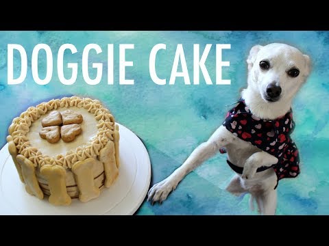 How to Make a Cake for a Dog - Dog Birthday Cake Recipe How to Make a Cake for a Dog - Dog Birthday Cake Recipe