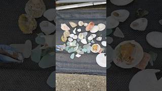 Beach Treasure Hunt - #seaglass #beach #shells #seaside #beachlife #artmaterial #naturalmaterials