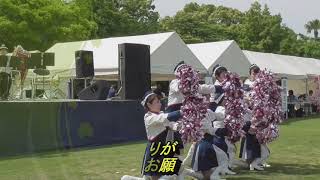 警察音楽隊カラガードのダンスパフォーマンス