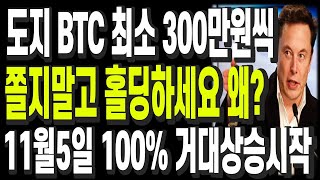 비트코인 리플 도지코인 이더리움 도지 BTC 최소 300만원씩 쫄지말고 홀딩하세요 왜? 11월5일 100% 거대상승시작