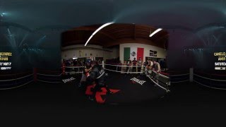 Canelo: A New Perspective