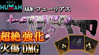 大化け武器‼「AKM-フューリアス」のビルドを紹介！今季トレンドは火傷！【#OnceHuman】