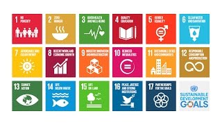 A Look at the Sustainable Development Goals