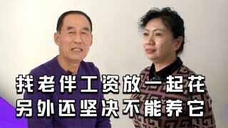 【缘来不晚】找老伴工資放壹起花，另外還堅決不能養小狗！