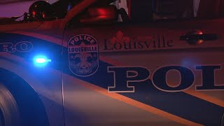 Analysis of Louisville homicide data shows slight decrease from 2021, but more of the same