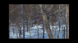 さぁー今日も射撃の瞬間映像をお届けします！