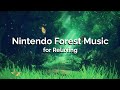 Forest | Relaxing Nintendo Playlist