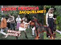 JACQUELINE BAWA ANJING SANGAR !!!! SEMUA AUTO BUBAR ...!!!