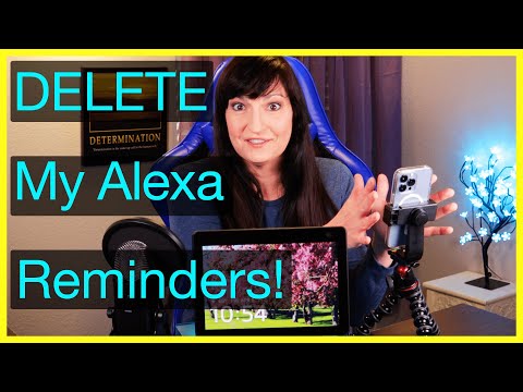 How to set and delete Alexa reminders? Love and data