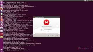 How to Install and Configure Mega in Linux