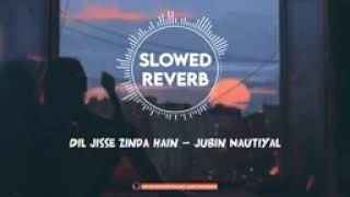 Dil Jisse Zinda Hai (Lofi-Mix): Gurmeet Choudhary, Giorgia Andriani| NFAK, Jubin Nautiyal, Dj Moody
