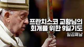 일곱째날: 프란치스코 교황님의 회개를 위한 9일기도 - 파티마 성모회(Confraternity of Our Lady of Fatima)