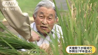 天皇陛下が皇居で稲刈り　作柄は「平年並み」(17/09/14)