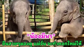 น้องมีนา : สาวน้อยบ้านป่า ยืนโพสต์ท่าสวยๆมองดู แม่จั่น กำลังให้ช่างทำคอกใหม่ให้หนูค่ะ