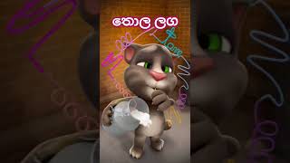 තොල ලග #music #funny #cute #talkingtom