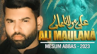 ALI MAULANA ALI | Mesum Abbas | Nohay 2023 / Muharram 1445