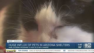 Struggling to pay for or keep your pet? Arizona Animal Welfare League can help