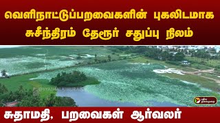 வெளிநாட்டுப்பறவைகளின் புகலிடமாகசுசீந்திரம் தேரூர் சதுப்பு நிலம் | PTT