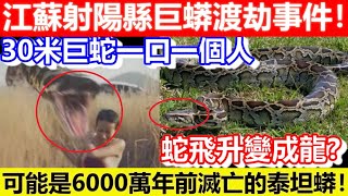 🔴江蘇射陽縣巨蟒渡劫事件！30米巨蛇一口一個人！可能是6000萬年前滅亡的泰坦蟒！蛇飛升變成龍？｜CC字幕｜Podcast｜日更頻道 #東張西望 #何太 #何伯 #李龍基