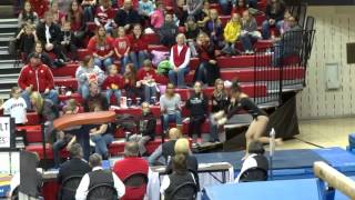 Rachel Haines 1 Vault 2014 02 01 University of Minnesota vs Nebraska