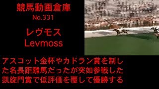 【競馬】レヴモス　Levmoss【No 331】