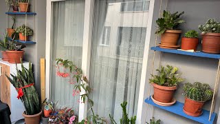 Evinizin Balkon Duvarına Kolay Raf Çiçeklik Yapılışı