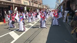 よさこい塾･ありがた屋2018花火