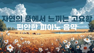 자연의 품에서 느끼는 고요함, 편안한 피아노 음악 | Serene Nature Embrace with Relaxing Piano